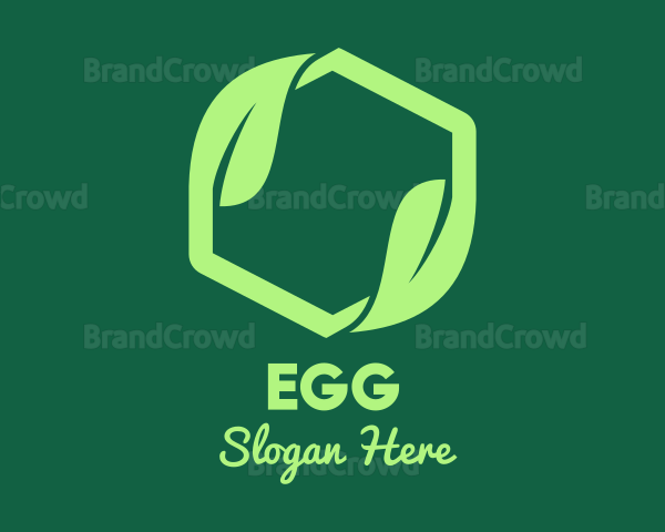 Green Eco Package Logo