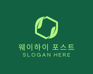 Green Eco Package logo design