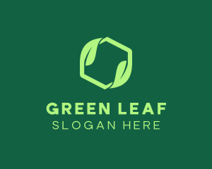 Green Eco Package logo design