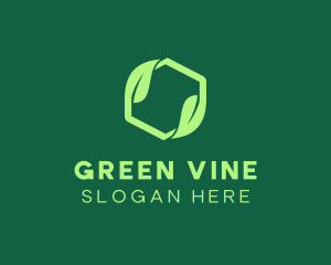 Green Eco Package logo design