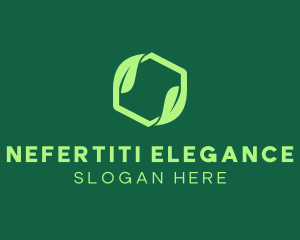 Green Eco Package logo design