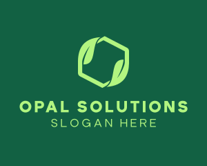 Green Eco Package logo design