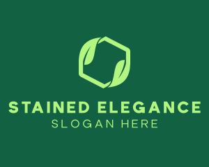 Green Eco Package logo design