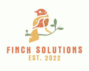 Colorful Sparrow Bird logo design