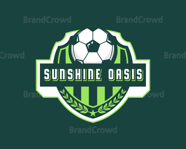 Soccer Ball Sports Logo