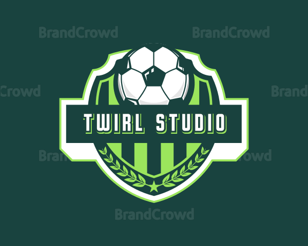 Soccer Ball Sports Logo