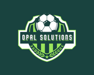 Soccer Ball Sports Logo