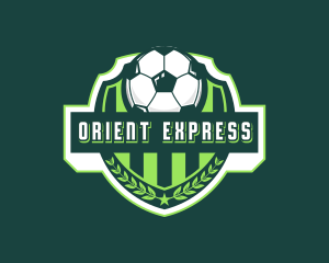 Soccer Ball Sports Logo