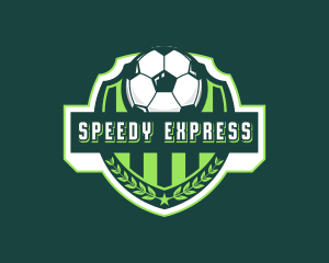 Soccer Ball Sports Logo