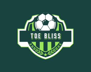 Soccer Ball Sports Logo