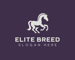 Equestrian Stallion Horse logo design