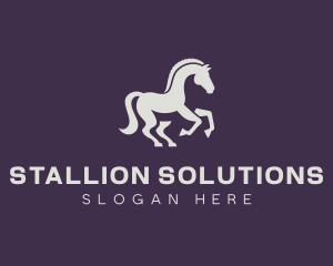 Stallion - Equestrian Stallion Horse logo design