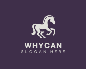 Stallion - Equestrian Stallion Horse logo design