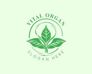 Vegan Organic Garden logo design