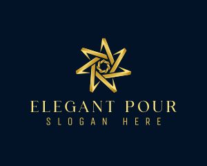 Elegant Star Boutique logo design