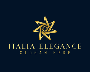 Elegant Star Boutique logo design