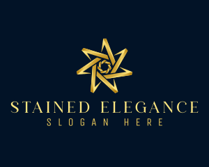 Elegant Star Boutique logo design