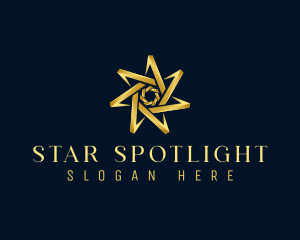 Elegant Star Boutique logo design