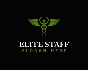 Medical Caduceus Staff  logo design