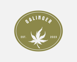 Cannabis - Medicinal Marijuana Leaf logo design