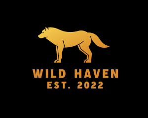 Golden Wild Wolf logo design