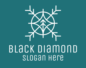 Diamond Winter Snowflake logo design