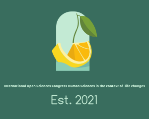 Produce - Orange Citrus Boat logo design