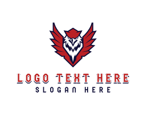 Bird - USA Eagle Shield Veteran logo design