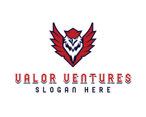 Veteran - USA Eagle Shield Veteran logo design