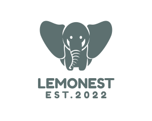 Conservation - Daycare Elephant Zoo logo design