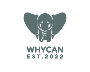 Trunk - Daycare Elephant Zoo logo design