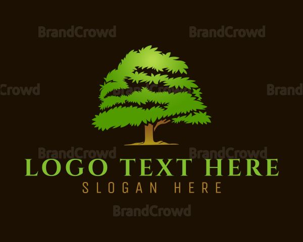 Organic Nature Tree Logo