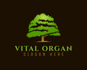 Organic Nature Tree logo design