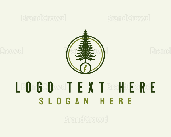 Sweden Pine Tree Logo