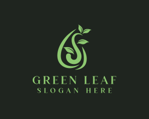 Wellness Leaf Droplet logo design