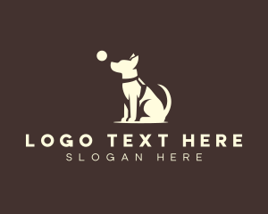 Dog Training Ball logo design