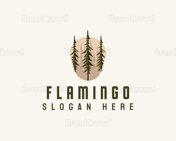 Pine Tree Forest Nature Logo
