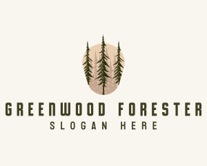 Pine Tree Forest Nature logo design