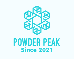 Ski - Blue Snowflake Outline logo design