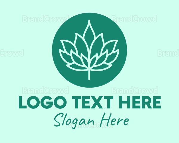 Lotus Bloom Spa Logo