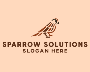 Sparrow - Wild Sparrow Bird logo design