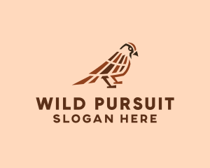 Wild Sparrow Bird logo design