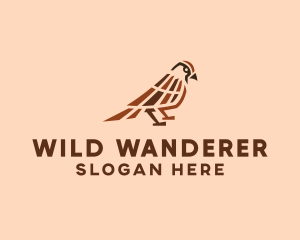 Wild Sparrow Bird logo design