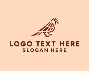 Pigeon - Wild Sparrow Bird logo design