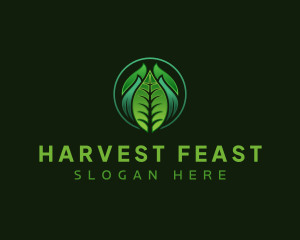 Leaf Organic Plant logo design