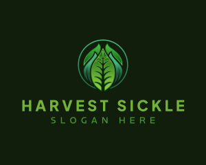 Leaf Organic Plant logo design