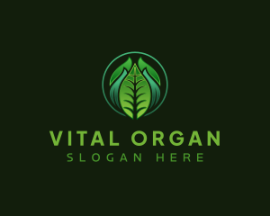 Leaf Organic Plant logo design