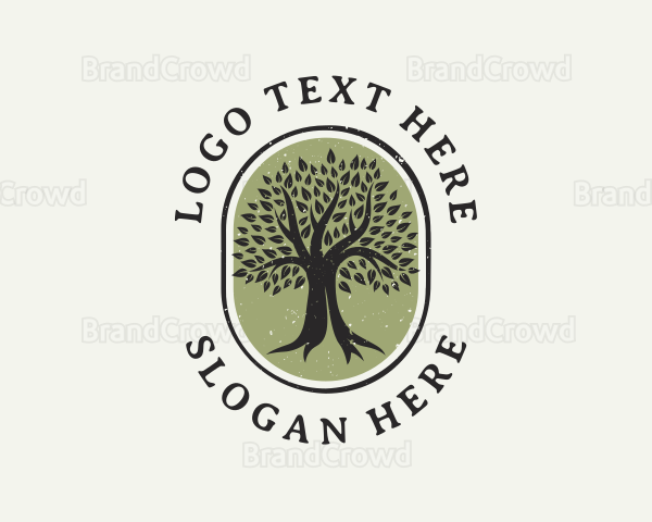 Eco Nature Tree Logo