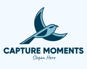 Soaring - Blue Bird Flying logo design