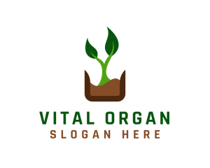 Natural Organic Plant logo design